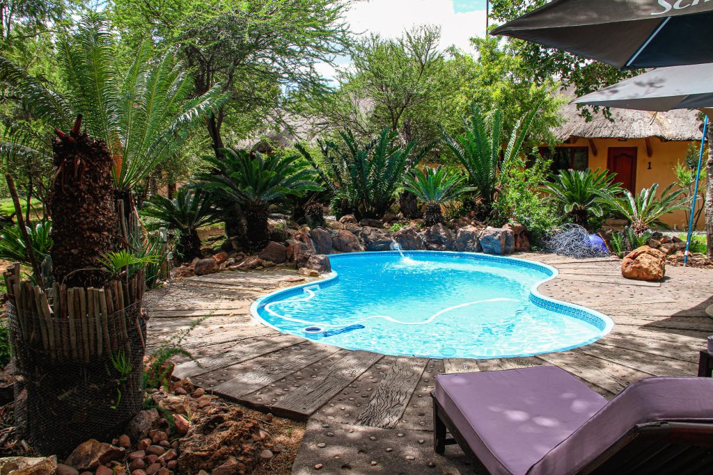 Close up view of the pool and loungers with purple cushions