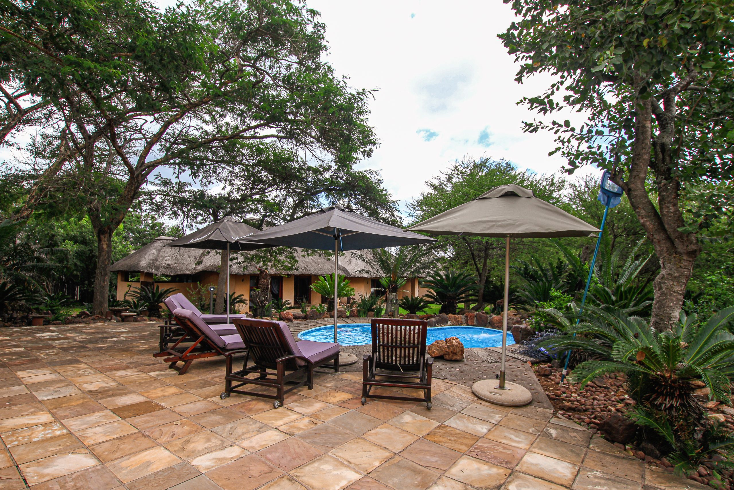 Outside pool area, loungers under umbrellas around pool