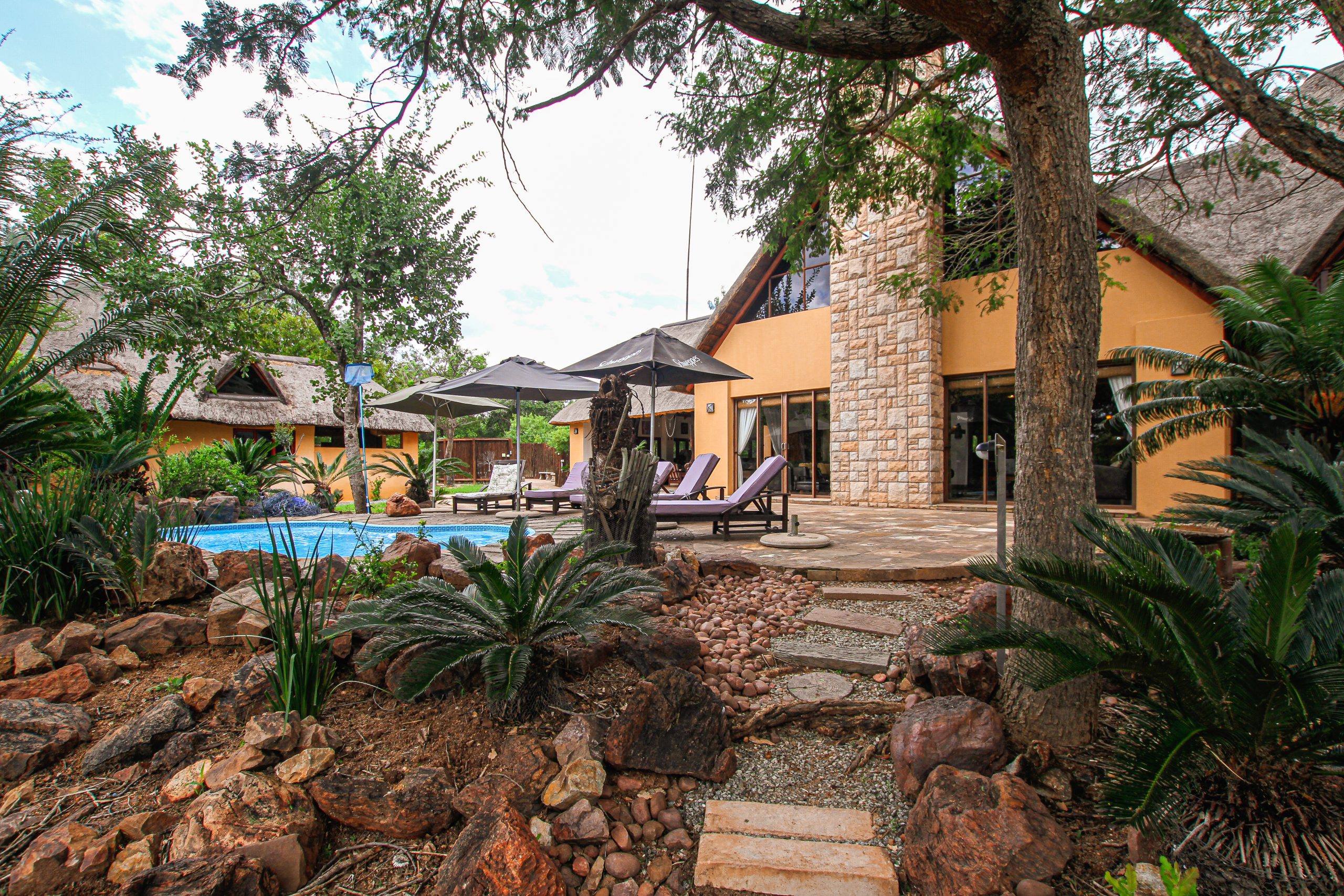 The main lodge in the background, acacia trees and african bush plants