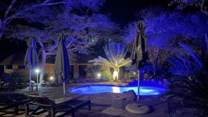 The Golfers lodge 167 pool, lit up at night.